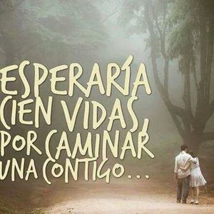 Meet your Posher, Cruz